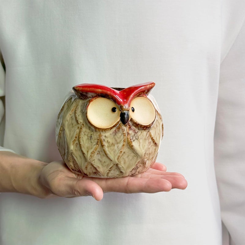 GeLive Owl Succulent Pot Ceramic Cactus Planter with Drainage Hole, Cute Small Plant Container for Desk Windowsill Tabletop Decor Pen Holder (No Plants) - Image 5
